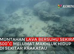 Keadaan Laut Saat Ini